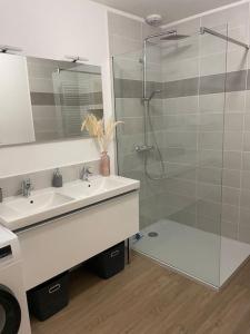 a bathroom with a sink and a shower at Bel appartement / Troyes in Saint-Parres-aux-Tertres +6 photos