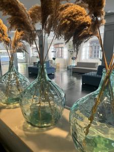 trois vases en verre avec des fleurs séchées dans une pièce dans l'établissement Hotel RL Anibal, à Linares