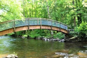 un pont sur une rivière dans une forêt dans l'établissement La Loupière, à Avallon