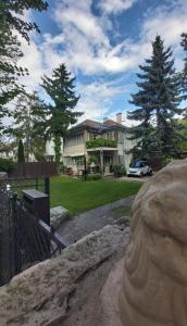 Afbeelding uit fotogalerij van NewMidi Studio terrace, wifi in Siófok