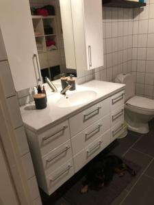 a bathroom with a sink and a dog laying under it at Spacious house near city centre in Trondheim
