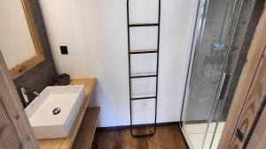 a bathroom with a sink and a glass shower at Résidence Maison - Superbe Maison de Village entièrement rénovée MAE-5594 in Puy-Saint-Vincent +10 photos