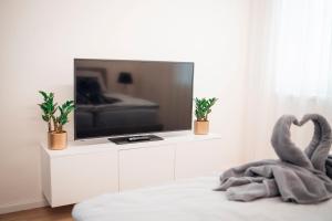 TV a/nebo společenská místnost v ubytování Apartman New York