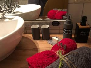 uma casa de banho com toalhas vermelhas no chão ao lado de um lavatório em Ja, das gönn' ich mir. Sauna, Natur - alles hier. em Neudrossenfeld