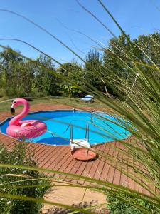 a swimming pool with a pink flamingo and a chair at Morava Garden Resort in Jagodina