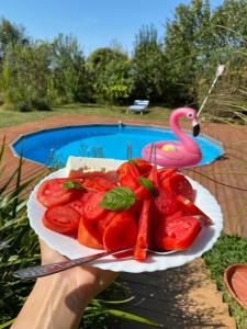 a person holding a plate of strawberries with a pink flamingo at Morava Garden Resort in Jagodina