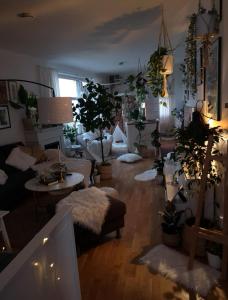 a living room filled with lots of potted plants at Eurovision 2024 in Malmö