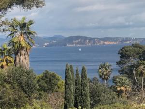 拉西約塔的住宿－Maisonnette bord de mer，享有海洋和棕榈树的景致