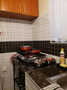 Cuisine ou kitchenette dans l'établissement Cozy apartment-Java Blue Embu