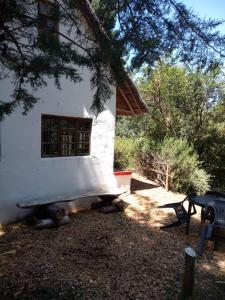 a white building with a window on the side of it at Gryffin Cottage at Hogwarts Forest in Hogsback