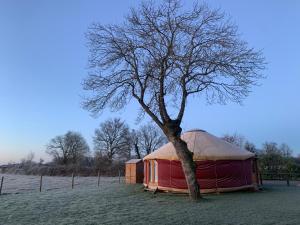 a red yurt with a tree in a field at Yourte proche canal in Saffré