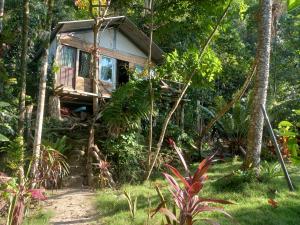 Sumatra Ecolodge في Sungaipisang: منزل شجرة في وسط الغابة