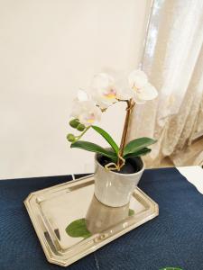 um vaso com flores brancas sobre uma mesa em La piccola bomboniera di Milano Nord em Milão