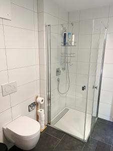 a bathroom with a shower and a toilet at MY HOME N 35 in Villingen-Schwenningen