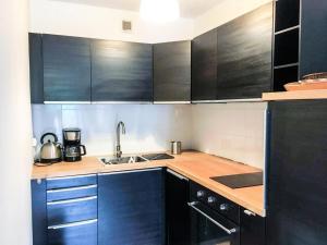 uma cozinha com armários pretos e um lavatório em Résidence Cimes - 2 Pièces pour 6 Personnes 324 em Vénosc