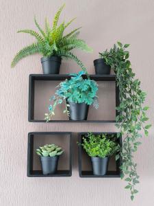 four shelves with potted plants on a wall at Les Résidences du Mourillon in Toulon