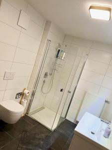 a bathroom with a shower with a toilet and a sink at MY HOME N 35 in Villingen-Schwenningen