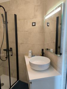 uma casa de banho com um lavatório e um chuveiro em Les Résidences du Mourillon em Toulon