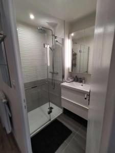 een badkamer met een douche en een wastafel bij Résidence Midi - Studio pour 4 Personnes 974 in Vénosc