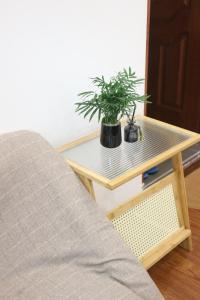 a coffee table with a potted plant on top of it at La Verne Homestay Dalat in Da Lat