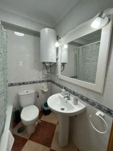 a bathroom with a toilet and a sink and a mirror at La Biznaga de María in Torre del Mar