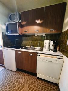 Il comprend une petite cuisine équipée d'un évier et d'un lave-vaisselle. dans l'établissement Résidence Christiana - Studio pour 6 Personnes 554, à Risoul