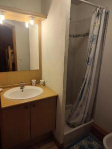 a bathroom with a sink and a shower at Chalets D Or - 2 Pièces pour 4 Personnes 164 in Vénosc