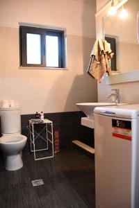 uma casa de banho com um WC e um lavatório em Gina's Studio at Nafpaktos em Lepanto