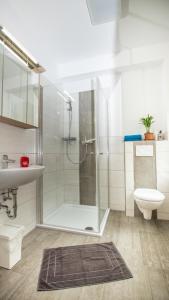 een badkamer met een douche, een toilet en een wastafel bij Ferienhäuser Ilsestein Doppelhaus, 100 qm, 3 Schlafzimmer in Ilsenburg