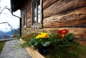 wazon kwiatów siedzący na gzymsie obok budynku w obiekcie Ski Lodge Peneze w mieście Vitanje
