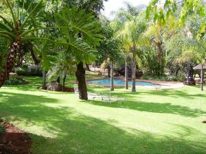 a green yard with a swimming pool and palm trees at Kettle Guest Lodge Rustenburg in Rustenburg