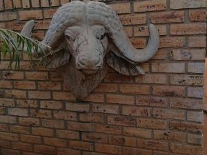 Foto sihtkohas Rustenburg asuva majutusasutuse Kettle Guest Lodge Rustenburg galeriist