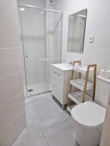 y baño con ducha, aseo y lavamanos. en Modular Suites Alfonso Gómez, en Madrid