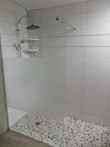 een badkamer met een douche met een glazen deur bij villa des cascades du hérisson in Bonlieu +30 foto's