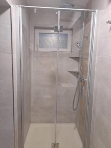 La salle de bains est pourvue d'une douche avec une porte en verre. dans l'établissement Ferienwohnung Familie Windt, à Feldberg