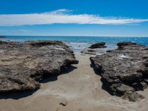 Naturlandskabet i nærheden af lejligheden