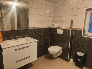 La salle de bains est pourvue de toilettes et d'un lavabo. dans l'établissement Maison 5 chambres proche Basel Germany, à Saint-Louis