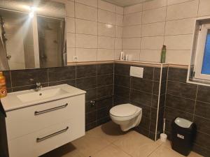un bagno con un water e un lavandino di Maison 5 chambres proche Basel Germany a Saint-Louis Altre 30 foto