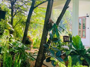 Giardino di Dimuthu Green Villa