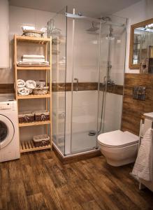 a bathroom with a shower and a toilet and a sink at DOMEK KARMELOWY - Azyl Na Szwedach in Ruszelczyce