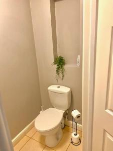 a bathroom with a white toilet and a plant at Maple House a spacious 2 Bedroom House in Barnstaple