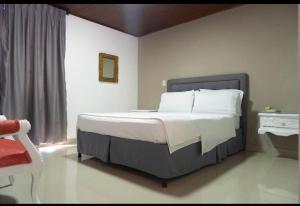 Postel nebo postele na pokoji v ubytování Hotel Suite Santa Rosa