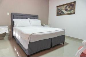 Postel nebo postele na pokoji v ubytování Hotel Suite Santa Rosa