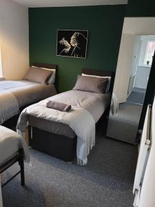 ノッティンガムにあるPerry Houseの緑の壁のベッドルーム1室(ベッド2台付)