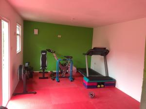 um ginásio com uma parede verde e duas bicicletas de exercício em Private cabin, own access & ensuite em Belfast