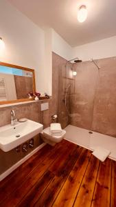 BreeseにあるQuartier Alte Schule Breeseのトイレ、洗面台、シャワー付きのバスルーム