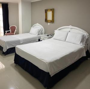 Postel nebo postele na pokoji v ubytování Hotel Suite Santa Rosa