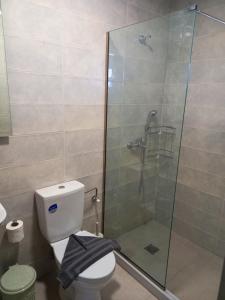 a bathroom with a toilet and a glass shower at KaVros Cozy Apartment in Kavros