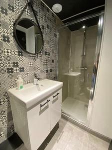 a bathroom with a sink and a shower and a mirror at BEL APPART rénové en face des universités in Brunstatt