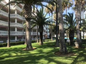 un grupo de palmeras frente a un edificio en Casablanca REA-CSB102, en Alcossebre